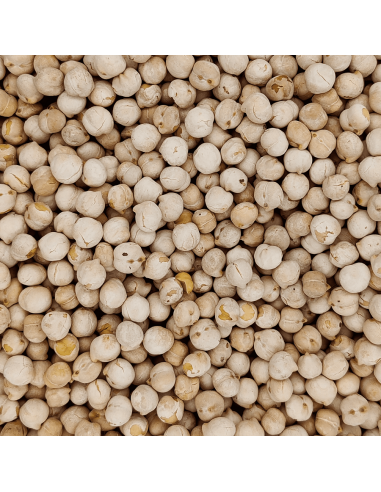 Garbanzo Tostado