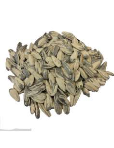 Pipas Agua Sal