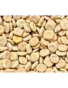 Habas Cascara