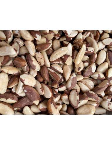 Coquitos de Brasil natural