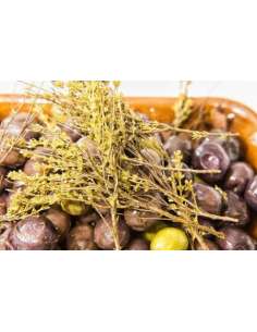 Aceituna Casera Rajada JAEN