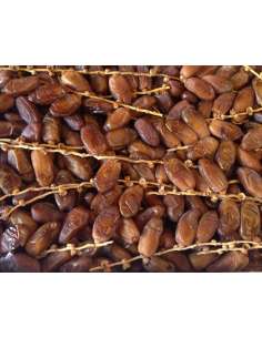 Oferta caja 1kg Datiles rama