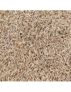 Cominos en grano