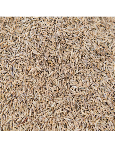 Cominos en grano