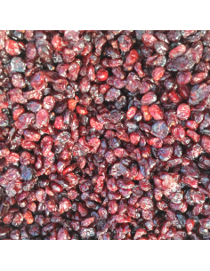 Arándanos deshidratados