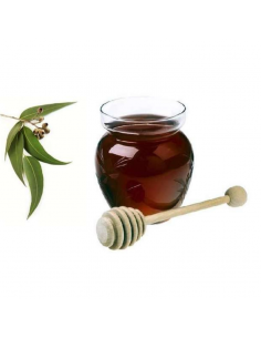 Miel de Eucalipto