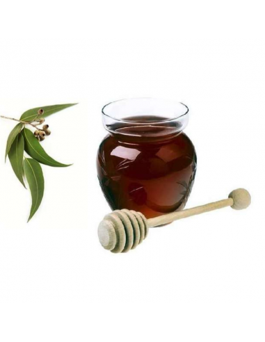 Miel de Eucalipto