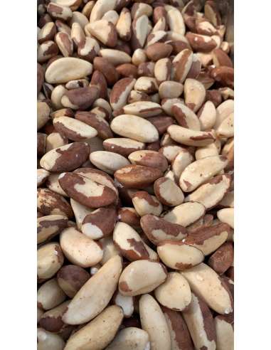 Coquitos de Brasil natural